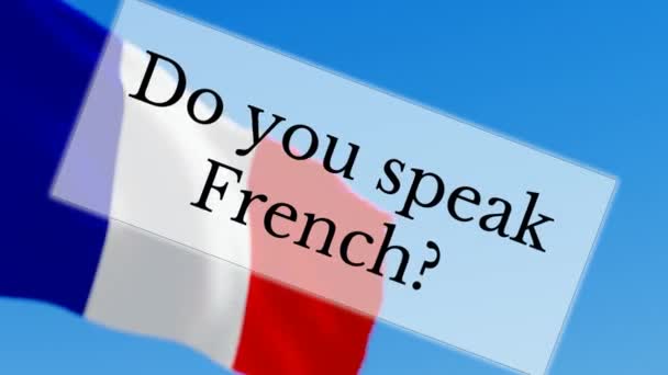 Do you speak French — Stok video