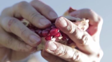 Bahçede açık narlı kadın elleri. Vejetaryenler için faydalı vitaminler ve antioksidanlar. Sağlıklı gıda konsepti. Yakın plan.