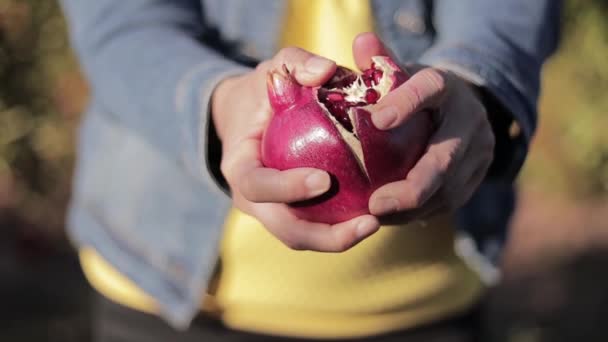 Hände eines weiblichen offenen Granatapfels im Garten. Nützliche Vitamine und Antioxidantien für Vegetarier. Gesundes Essen. Nahaufnahme — Stockvideo