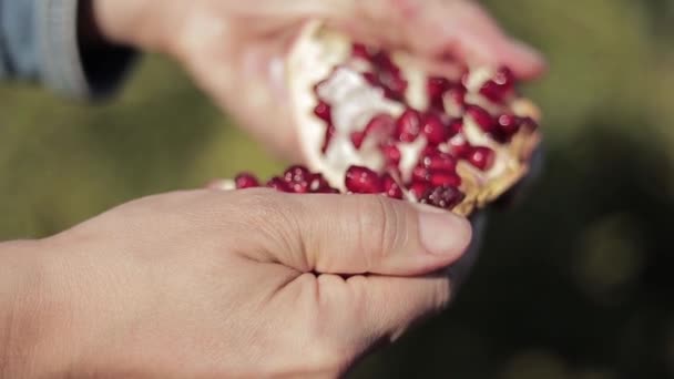 Handen van vrouwelijke open granaatappel op de tuin. Nuttige vitaminen en antioxidanten voor vegetariërs. Gezond voedsel concept. Close-up — Stockvideo