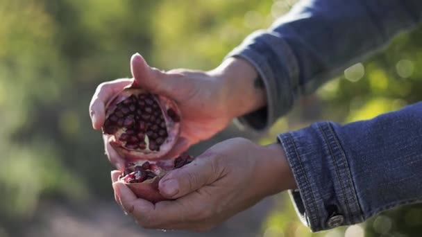 Mani di melograno aperto femminile sul giardino. Vitamine utili e antiossidanti per i vegetariani. Concetto di cibo sano. Primo piano — Video Stock