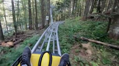 Rodelbahn 'da ya da Alp Coaster' da kayan insanlar sonbahar güneşli günlerinde ağaçların arasında ağaçlarda kızakla kayıyorlar. Tatil turizmi tatili kavramı. POV