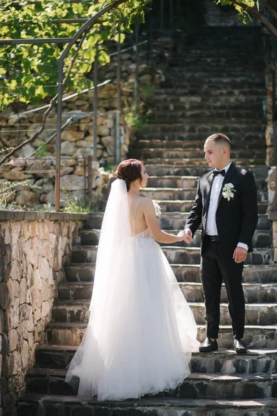 美丽的新娘和她英俊的新郎在婚礼当天走在外面。祝新婚夫妇幸福。葡萄园的背景 — 图库照片