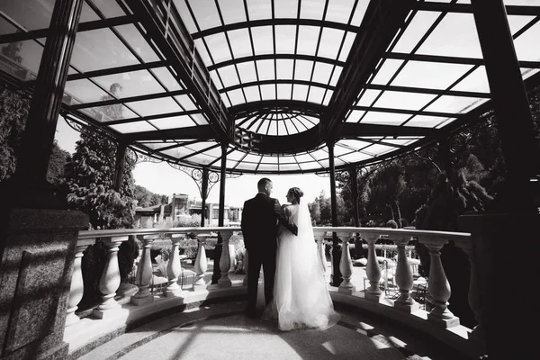 BAck vista di matrimonio coppia di sposo e sposa stand su grande splendido balcone — Foto Stock
