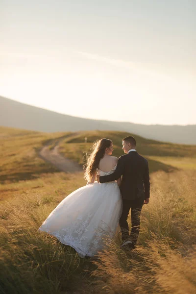 Rückansicht der attraktiven Braut und des stilvollen Bräutigams, die romantische Momente in den Bergen bei Sonnenuntergang an einem schönen Sommertag genießen. Hochzeitspaar im Feld — Stockfoto