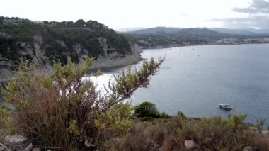 Ağaçtan güzel bir deniz. Yeşil çimenler, mavi deniz ve gökyüzü. Doğa