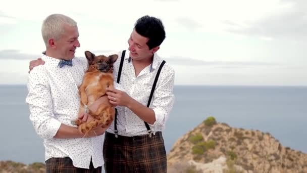 Dois homem alegre elegante com cão bonito sentado em pedras ao longo da praia e falando, comunicação feliz casal gay. Turistas no mar — Vídeo de Stock