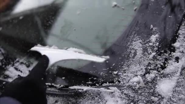 Primer plano de la mujer es la limpieza de la ventana nevada en un coche con rascador de nieve. Concéntrate en el rascador. Una fría mañana nevada y helada. Coche negro — Vídeo de stock