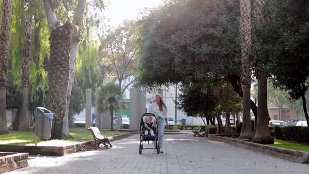 Video där familjemor går utomhus och vårdare hjälper till att titta på handikappade son barn som sitter i rullstol ögonblick. Begreppet handikappvård — Stockvideo