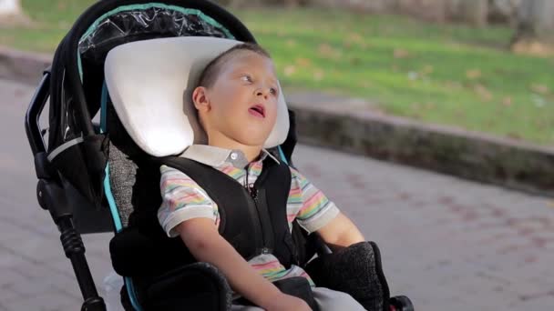 Közelíts rá a kisgyerekre, aki egy speciális tolószékben ül a szabadban. Mozgáskorlátozott gyermek — Stock videók