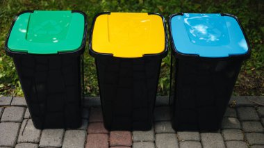 Parktaki açık havada farklı renkte çöp kutuları geri dönüşüm yapıyor. Ağaç kapalı plastik kutular. Yeşil, evet ve mavi