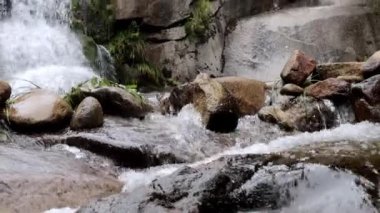 Vahşi bölgede bir dağ şelalesi. Orman nehri