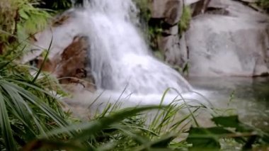Vahşi bölgede bir dağ şelalesi. Orman nehri
