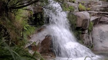Vahşi bölgede bir dağ şelalesi. Orman nehri