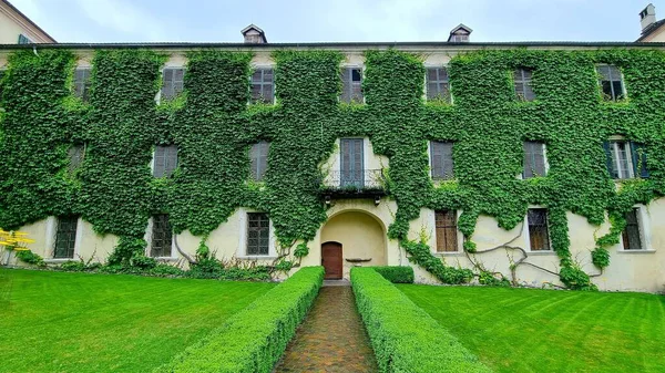 İtalya 'nın Güney Tyrol kentindeki Novacella Abbey' deki kütüphane binasının Ivy kaplı duvarı.