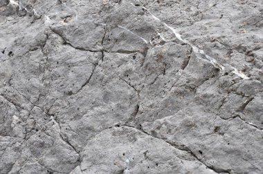 Dağ taşı parlak gri dokuyu çatlattı.
