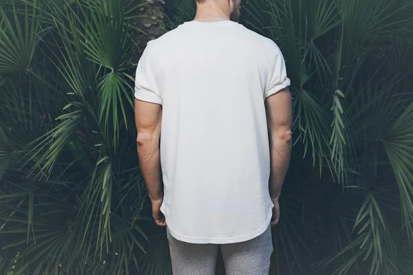 照片胡子肌肉男子穿着白色空白T恤在夏季时间。绿色巨大的棕榈树背景。后视图。水平模拟 — 图库照片