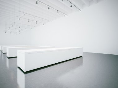 Beyaz Galerisi iç boş duvarları olan. 3D render