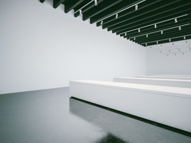 Beyaz Galerisi iç boş duvarları ve siyah tavan. 3D render