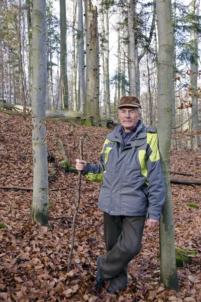 Der alte Mann im Wald — Stockfoto