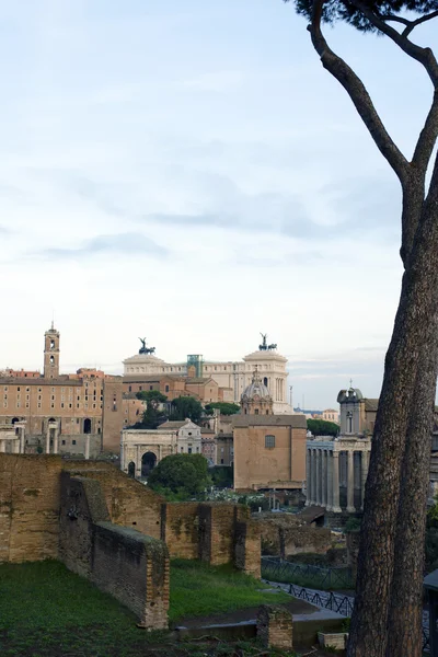 ローマのフォーラム、ローマ、イタリア — ストック写真