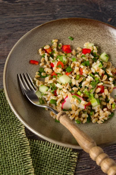 Salada vegetariana saudável com cevada e legumes crus — Fotografia de Stock