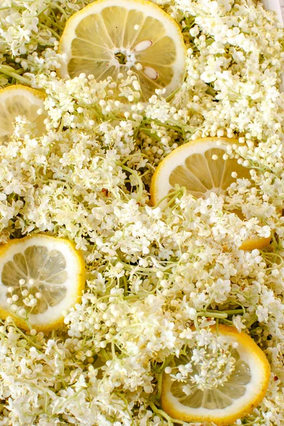 Fiori di sambuco e fette di limone, sfondo — Foto Stock