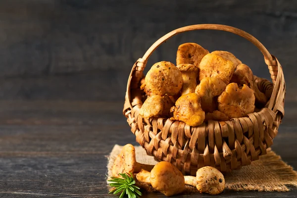 Vintage basket of chanterelles mushrooms