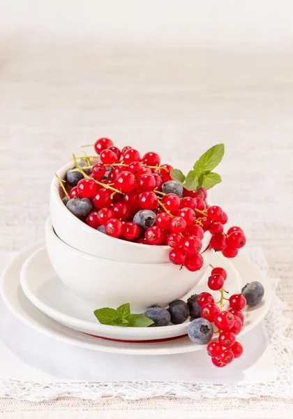 Beerenfrüchte Stillleben — Stockfoto