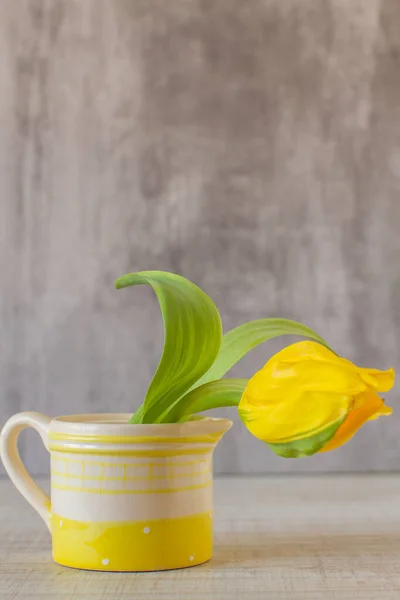 Malý Žlutý Tulipán Vinobraní Pohár Rustikálním Stole — Stock fotografie