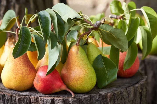 Pere d'autunno — Foto Stock