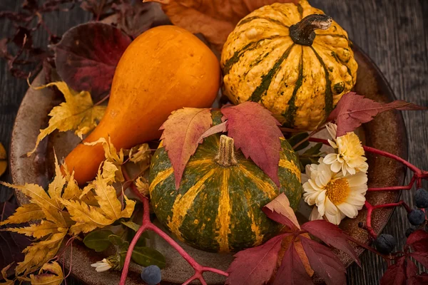 Autumn still life — Stock Photo, Image