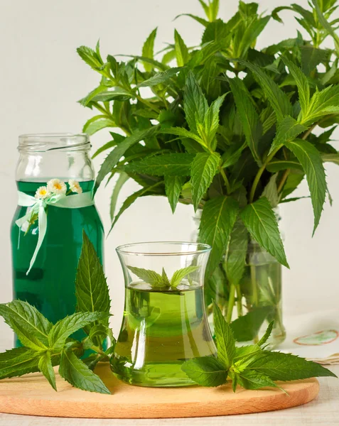 Mint drink — Stock Photo, Image