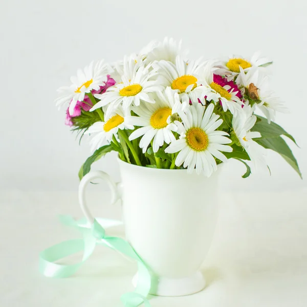 Garden daisies — Stock Photo, Image