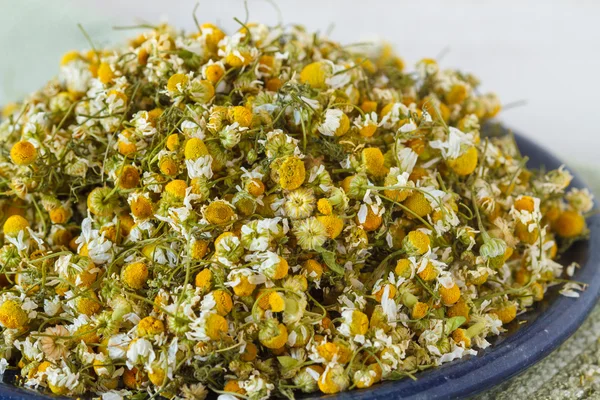 Dried chamomile flowers — Stock Photo, Image