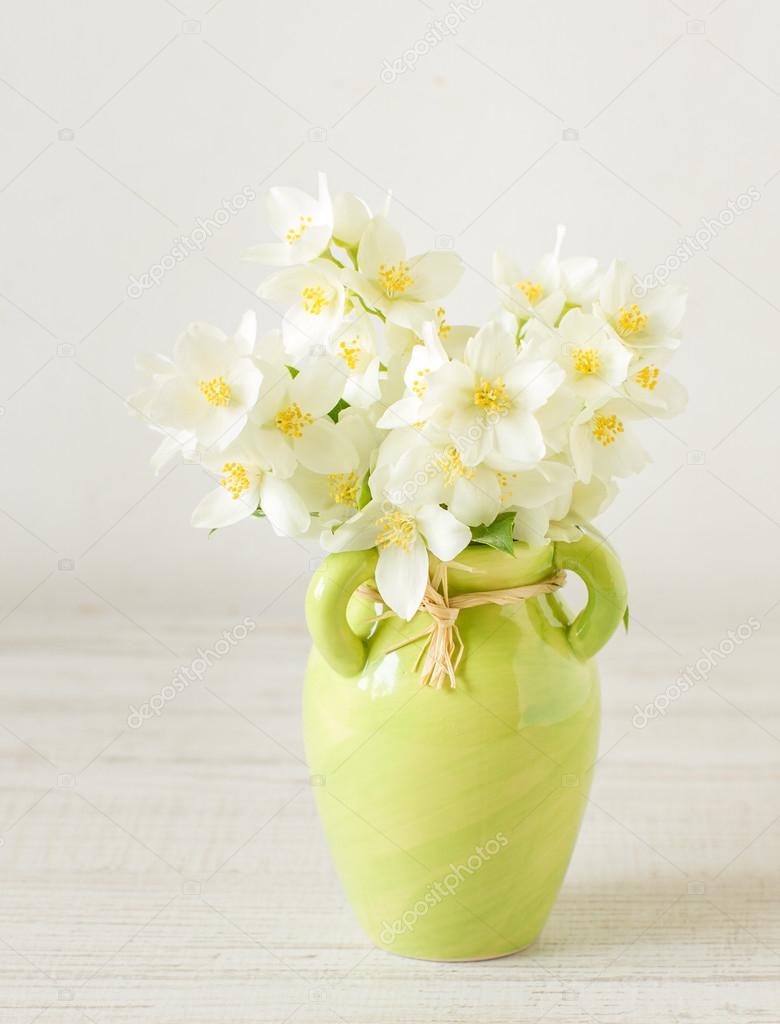 Jasmine flowers