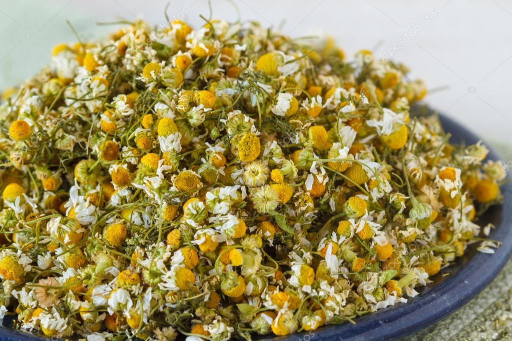 How To Use Dried Chamomile Flowers Best Flower Site