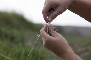 adam bir olta yemi yapar