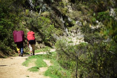 Yaya yolunda yokuş yukarı yürüyen insanlar olarak Peru 'da seyahat edin. Machu Picchu 'ya giden İnka patikasında büyük sırt çantalarıyla yürüyen tanınmayan insanlar..