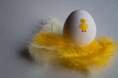 Paskalya kahvaltısı için güzel bir yumurta. Beyaz yumurtaya boyanmış şirin Paskalya tavuğu ve etrafında tüyler var..