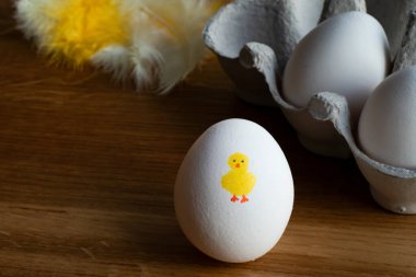 Paskalya kahvaltısı için beyaz yumurtaya boyanmış Paskalya tavuğu beyaz ve sarı tüylerin önüne ve ahşap masaya konmuş yumurta kartonuyla..