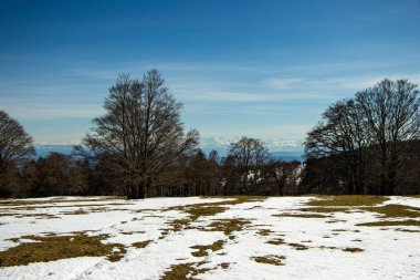 Baharda çayır, ağaçlar ve karlı araziler. Orvin öncesi, İsviçre..
