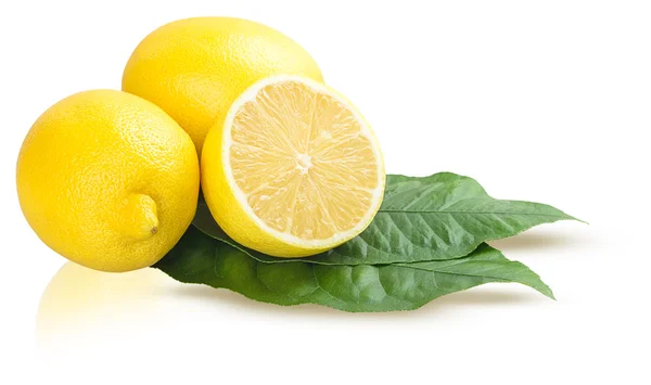 Zitronenfrüchte mit Blätter — Stockfoto