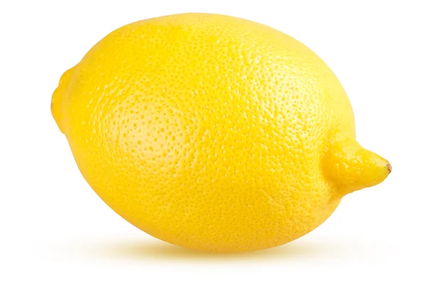 Zitronenfrucht isoliert — Stockfoto