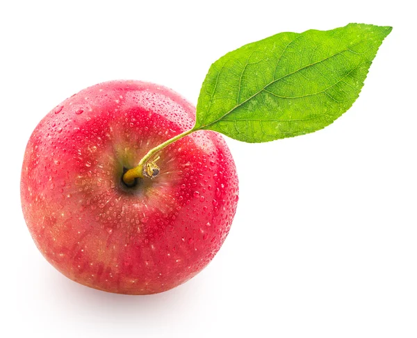 Pomme rouge avec feuille verte — Photo