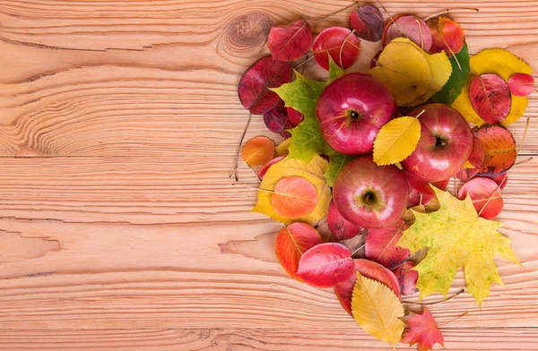 Tree red apples and colorful autumn leaves — Stock Photo, Image