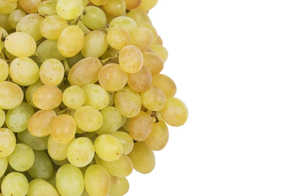 Um bando de uvas verdes maduras e suculentas — Fotografia de Stock