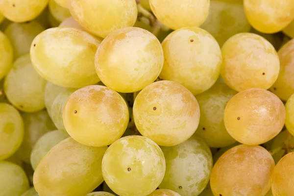 Juicy green grapes close-up — Stock Photo, Image