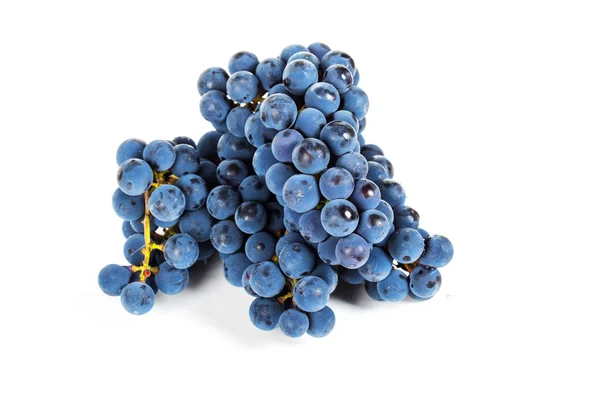 Blue grape — Stock Photo, Image