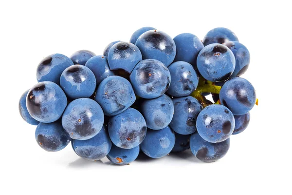 Blue grape — Stock Photo, Image